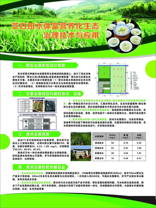 麗水山區(qū)茭白綠色可持續(xù)發(fā)展技術示范現(xiàn)場會在新建鎮(zhèn)召開