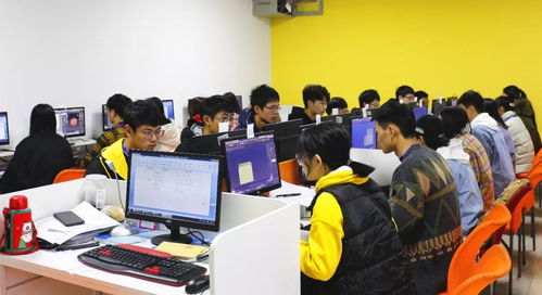 喜報(bào) | 我校在“巴渝工匠杯”2019年重慶市互聯(lián)網(wǎng)信息技術(shù)職業(yè)技能競(jìng)賽中榮獲佳績(jī)